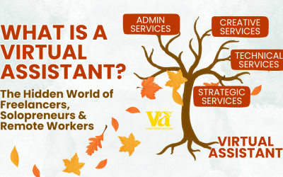 What is a Virtual Assistant?